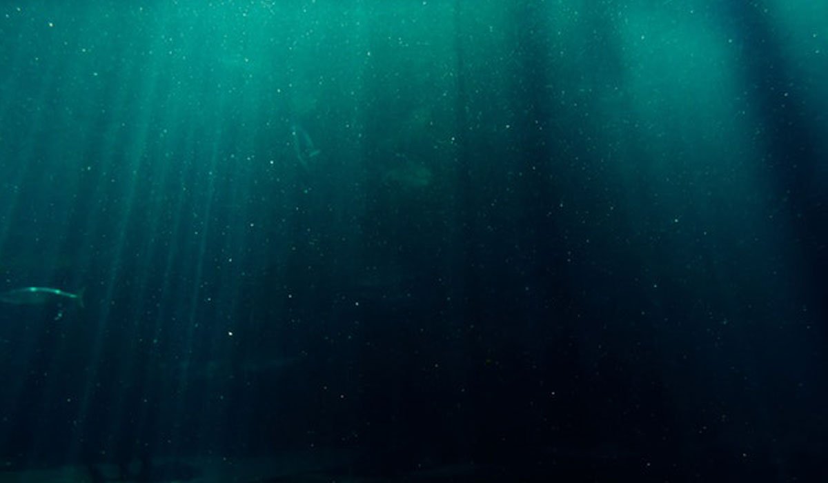 Salmon Fish Farms with Floating Cages Salmon Fish Farms with Floating Cages